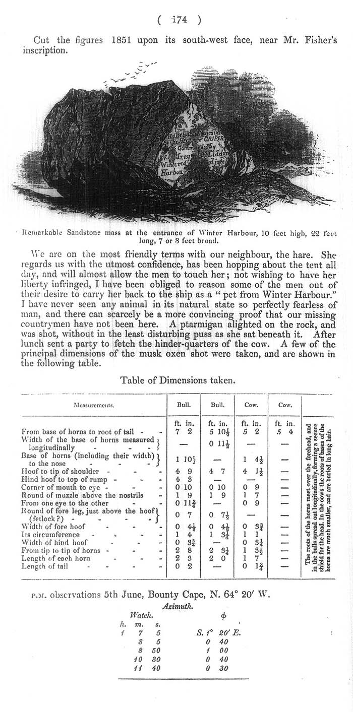 Arctic Blue Books: taylor 1852b, page 174