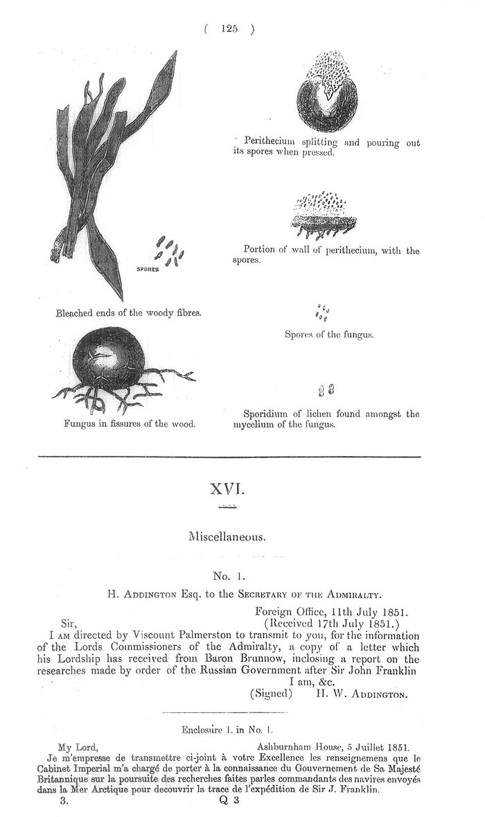 Arctic Blue Books: taylor 1852c, page 125