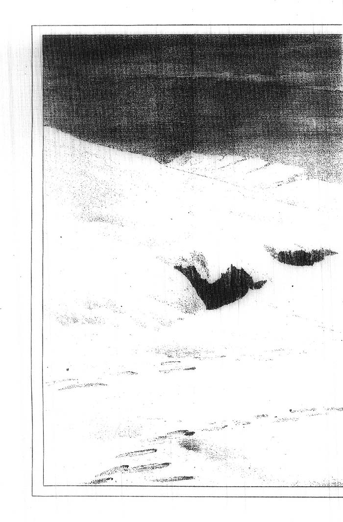 Arctic Blue Books: taylor 1877a, page 162b