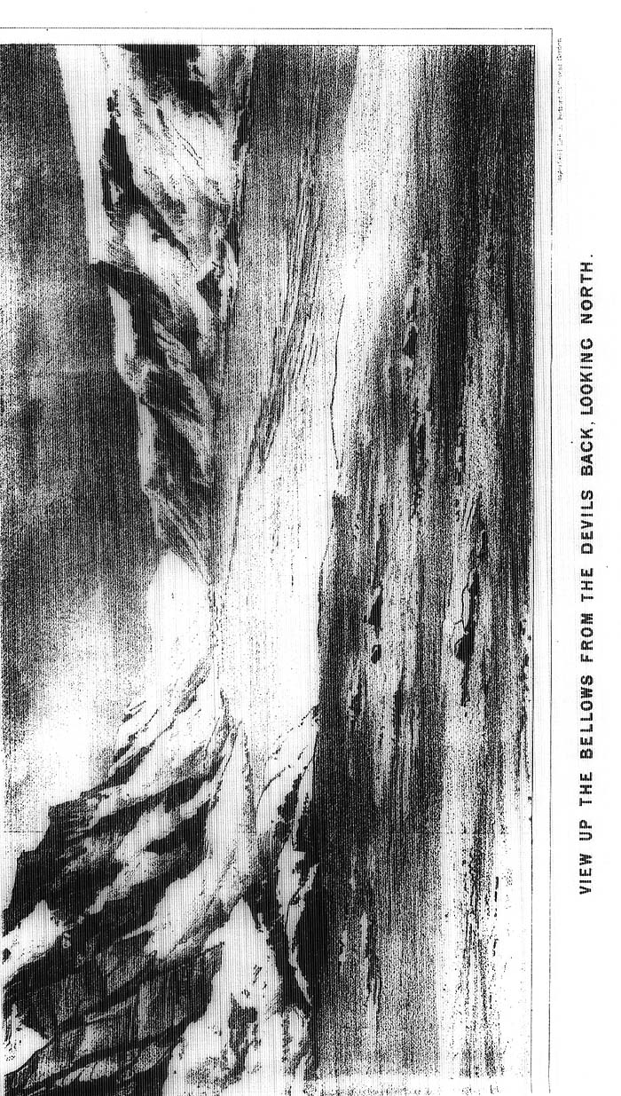 Arctic Blue Books: taylor 1877a, page 98a