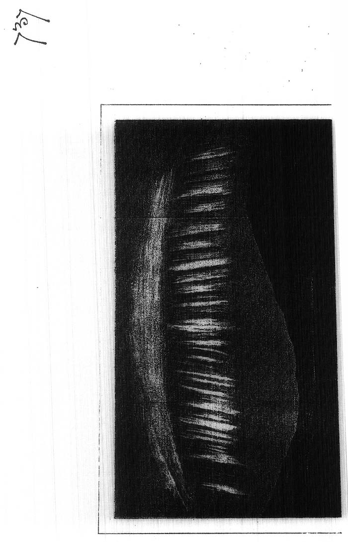 Arctic Blue Books: taylor 1878, page 118d