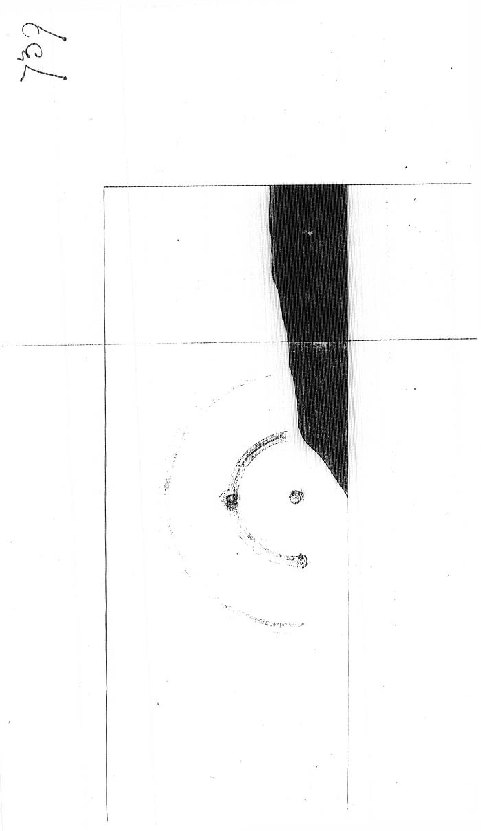 Arctic Blue Books: taylor 1878, page 118f