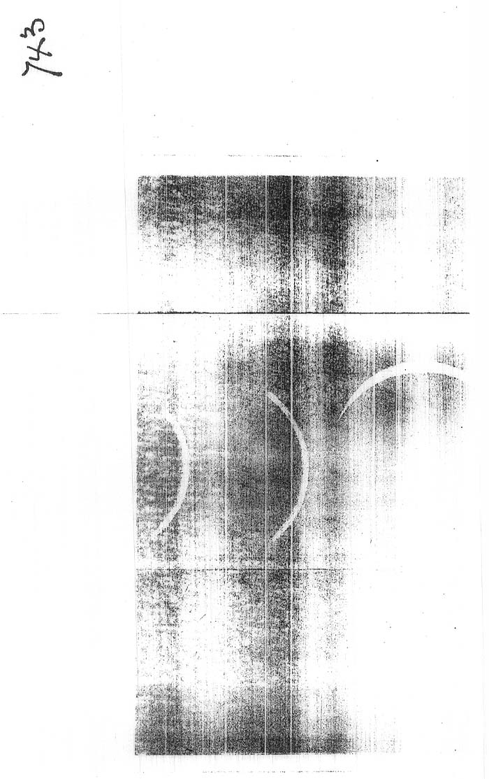 Arctic Blue Books: taylor 1878, page 118j