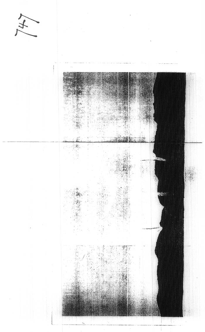 Arctic Blue Books: taylor 1878, page 130b