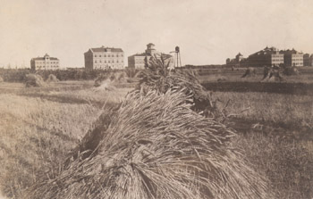 Photo, “A Good Shock”, M.A.C. buildings in the background 