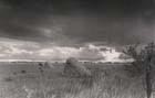 Photo, Hay bales and cloudy sky