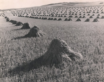 Stukes on the prairie