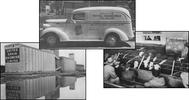 Agri-Food Industry Collage