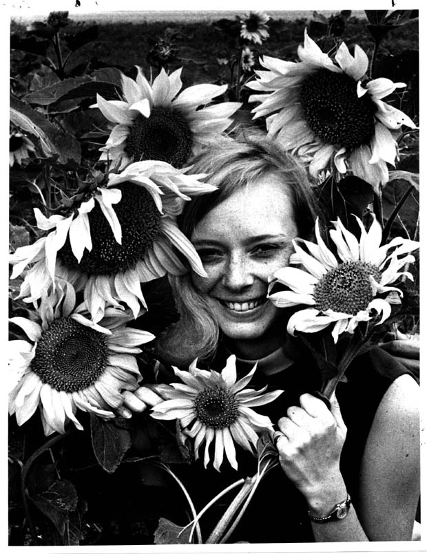 Altona Sunflower Queen