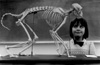 Anthropology