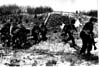 Army Canada -Royal Regiment of Canadian Artillery