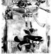 Art International Painting A-D
