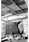 Asbestos