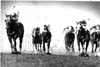 Assiniboia Downs