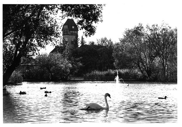 Assiniboine Park