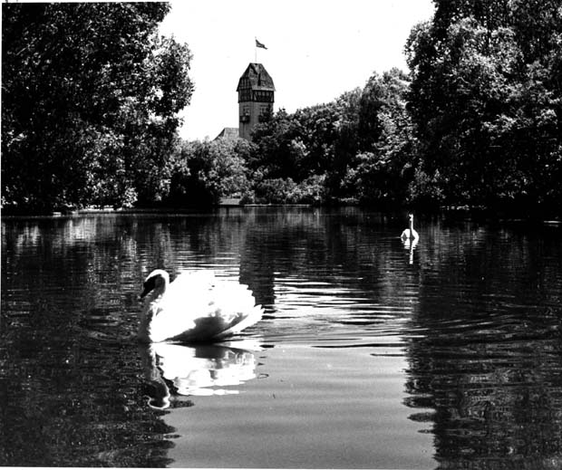 Assiniboine Park