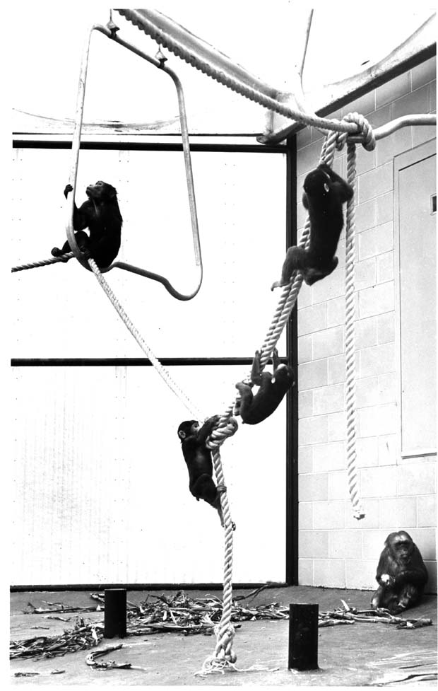 Assiniboine Park Zoo