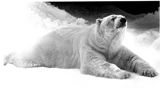 Assiniboine Park Zoo