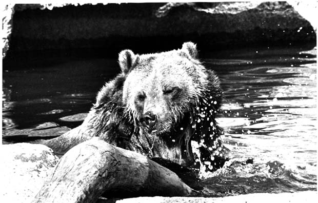 Assiniboine Park Zoo