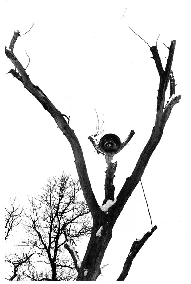 Assiniboine Park Zoo
