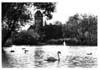 Assiniboine Park