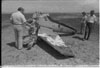 Aviation Accidents