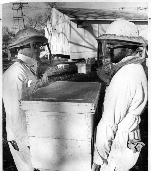 Bees & Beekeepers