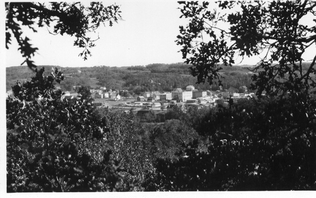 Birtle