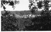 Birtle