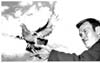 Carrier Pigeons