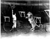 Circus