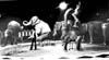 Circus