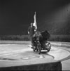 Circus