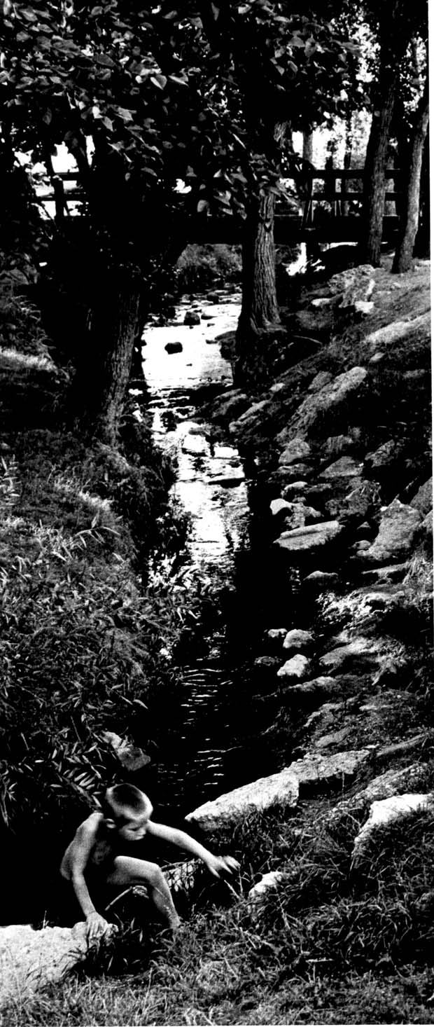 Creeks