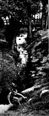 Creeks