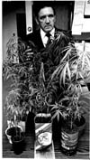 Crime Drugs and Narcotics