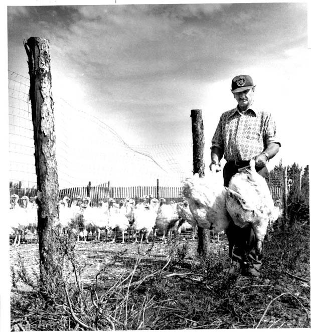 Crops Report & Insurance