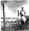 Crops Report & Insurance