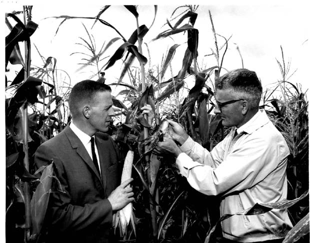 Crops Report & Insurance