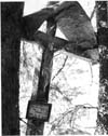 Crucifixion