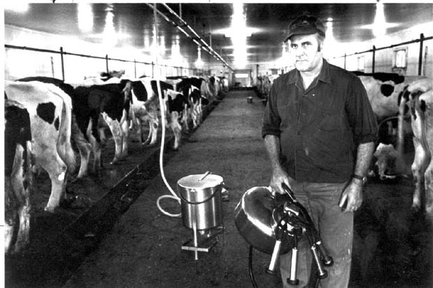 Dairy Farmers