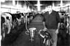 Dairy Farmers