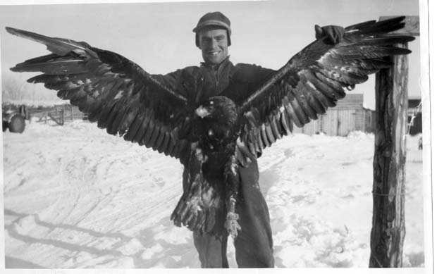Eagles