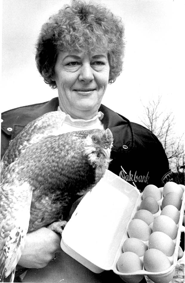 Eggs