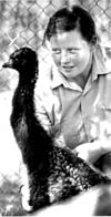 Emus