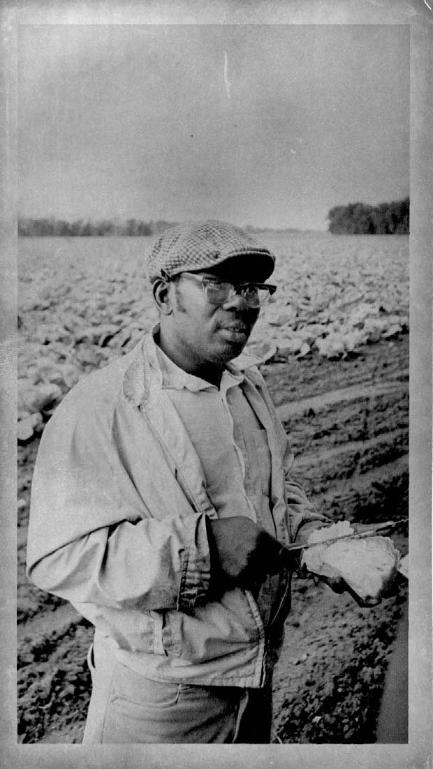 Farm Labour