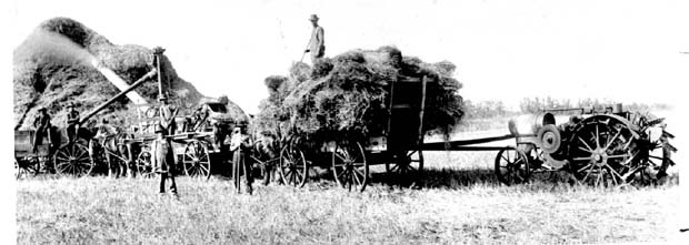 Farm Scenes