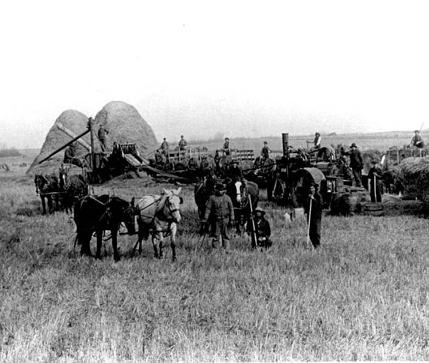 Farm Scenes