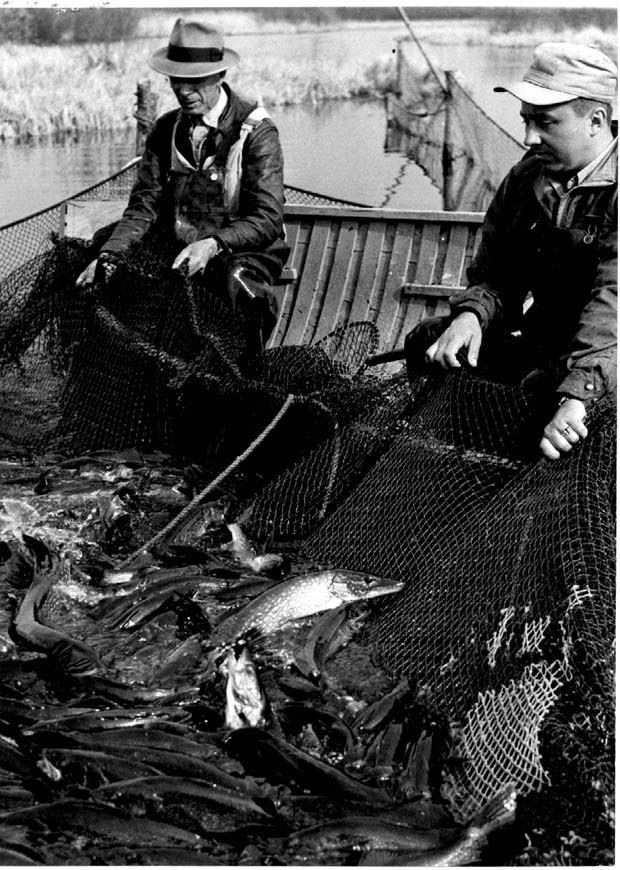 Fishing