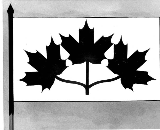 Flags